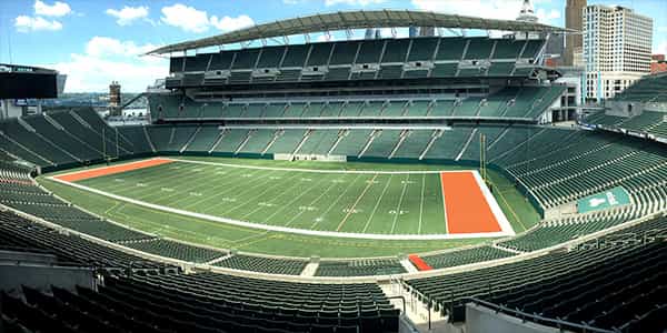 Image of Cincinnati Bengals