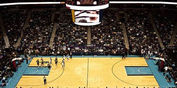 Image of New Orleans Pelicans In Tulsa