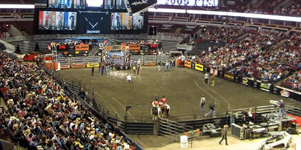 Image of Pbr Professional Bull Riders In Albuquerque