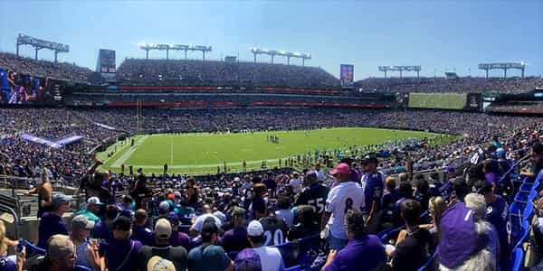 Image of Baltimore Ravens In Cincinnati