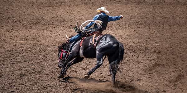 Image of Poway Rodeo In Poway