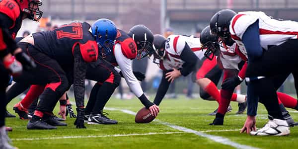 Image of Delaware State Hornets In Dover