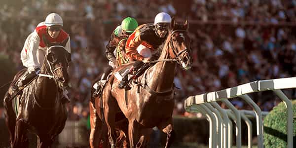Image of Thoroughbred Racing In Grand Prairie